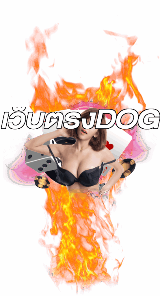 เว็บตรงDOG